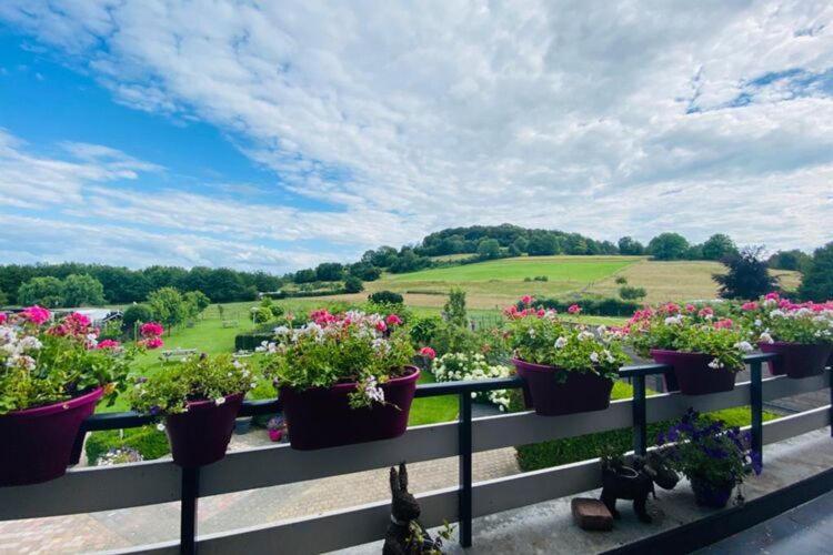 Panorama Sousberg Appartementen Schin op Geul Eksteriør billede